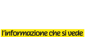 Vidya it - logo