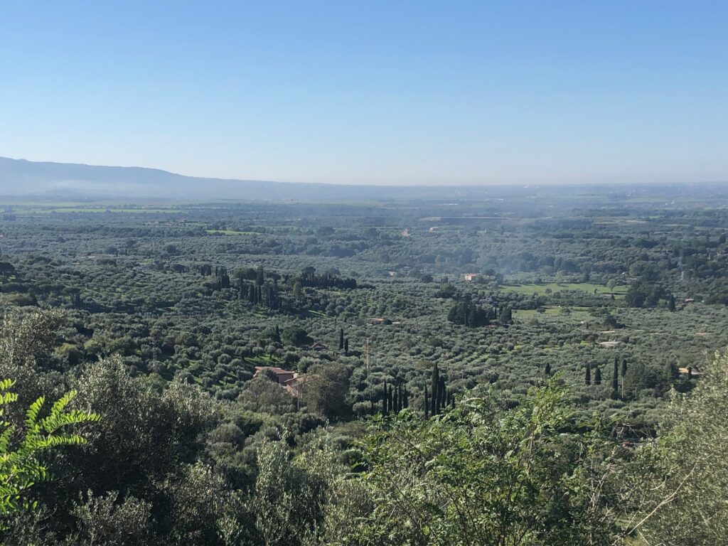 oliveti tivoli via di pomata