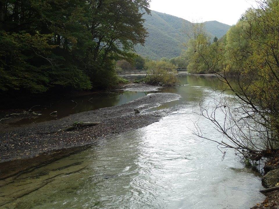 Sabato 10 maggio l'evento Rotary Youth Leadership Award "L'Aniene e le vie dell'acqua"