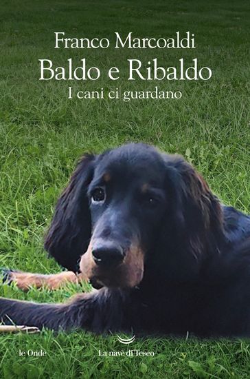 Marcoaldi baldo e Ribaldo
