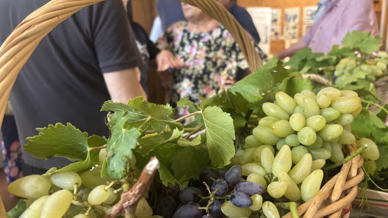 La “Strada del Pizzutello di Tivoli” apre la Sagra: primo weekend tra orti, degustazioni e visite guidate