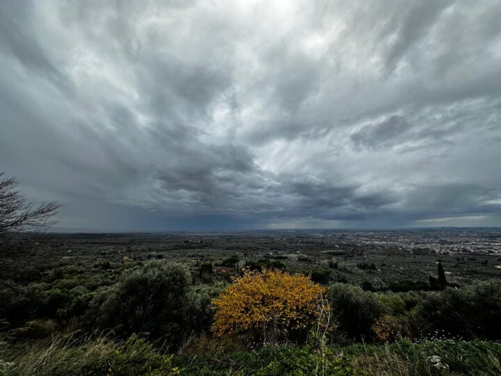 Pomata, seconda estate senza incendi per l’area archeo-naturalistica. Gli Agricustodi: “Ora vigileremo sullo stop alla caccia”