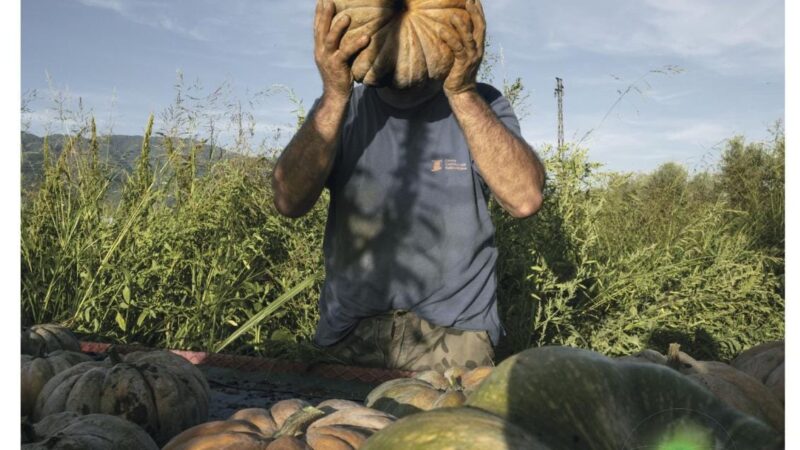 Tradizione, innovazione e legame con la terra: a Tivoli arriva la mostra fotografica “Agrosfera”