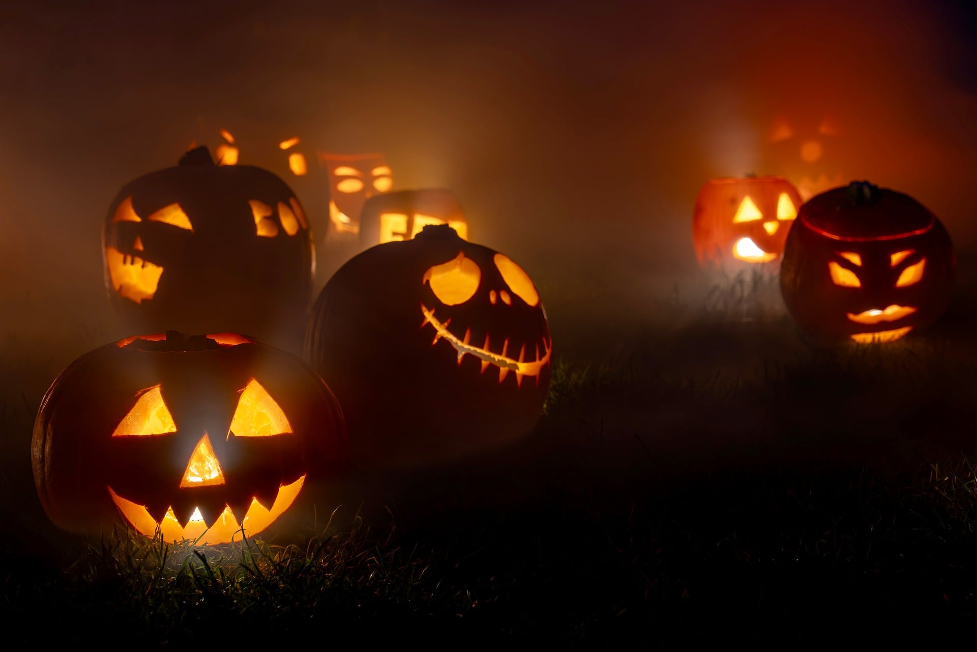 Zucche di Halloween intagliate e illuminate dall’interno, disposte sull’erba tra oscurità e foschia.