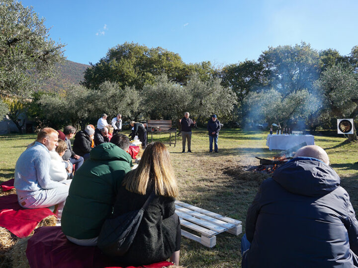 Silvi Sabina Sapori, una giornata tra gli olivi all’insegna della natura e del benessere